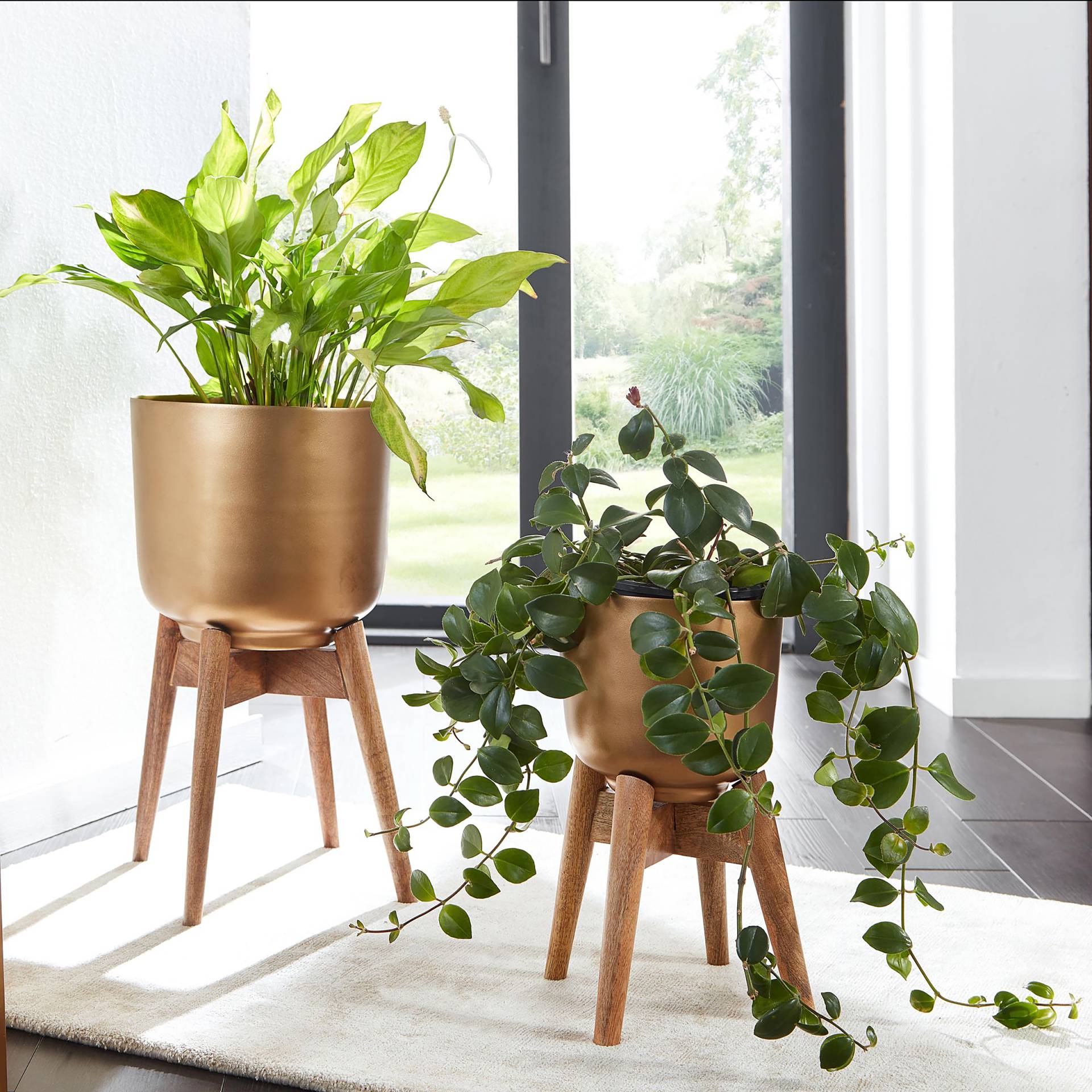 home24 Blumentopf Genen 2er-Set 31 x 52 x 31cm Gold/Gold home24 Blumentopf Genen 2er-Set 31 x 52 x 31cm Gold/Gold von home24