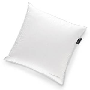 home24 Kopfkissen Madlene Weiß/Weiß 80 x 80cm Feinste Mako-Einschütte mit Aloe Vera & Vital Finish home24 Kopfkissen Madlene Weiß/Weiß 80 x 80cm Feinste Mako-Einschütte mit Aloe Vera & Vital Finish von home24