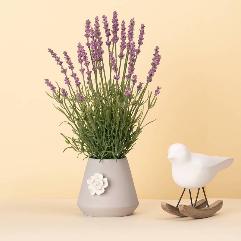 home24 Kunstblume Avi 7 x 40 x 7cm home24 Kunstblume Avi 7 x 40 x 7cm von home24