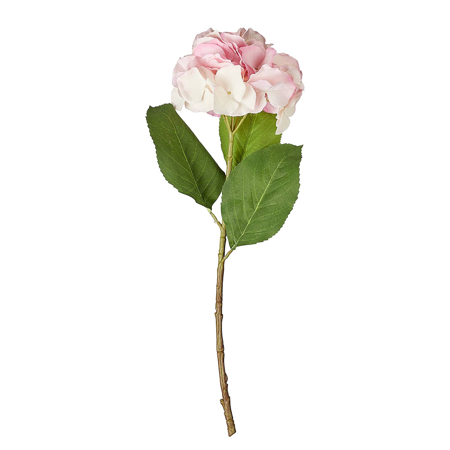 home24 Kunstblume Hortensie 6er-Set 15 x 62 x 22cm home24 Kunstblume Hortensie 6er-Set 15 x 62 x 22cm von home24