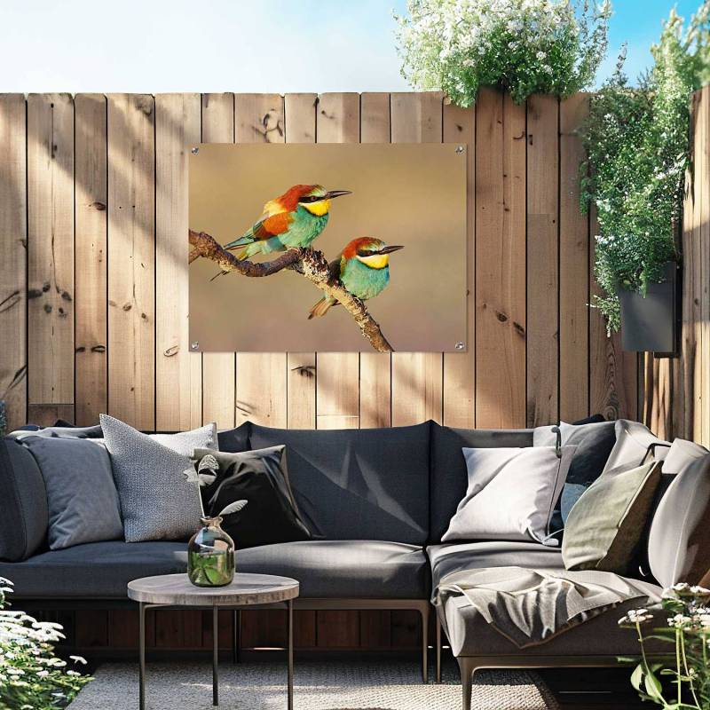 home24 Outdoor-Poster Zwei Vögel PVC Multicolor/Multicolor 60 x 80 x 0cm von home24