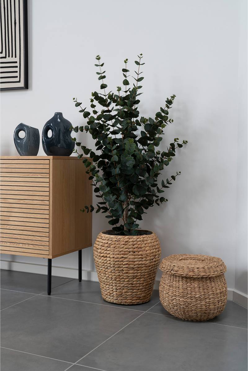 home24 Kunstpflanze EucalyptusTree 46 x 120 x 36cm home24 Kunstpflanze EucalyptusTree 46 x 120 x 36cm von home24