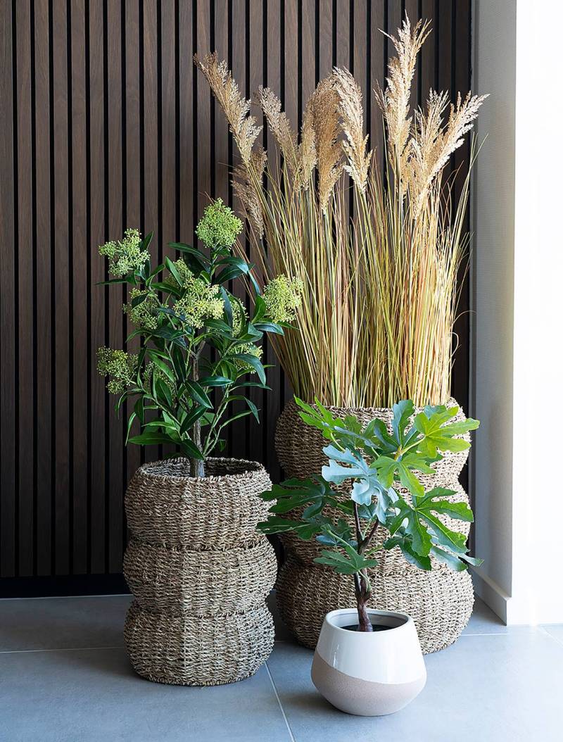 home24 Kunstpflanze Fig Tree 40 x 53 x 40cm von home24