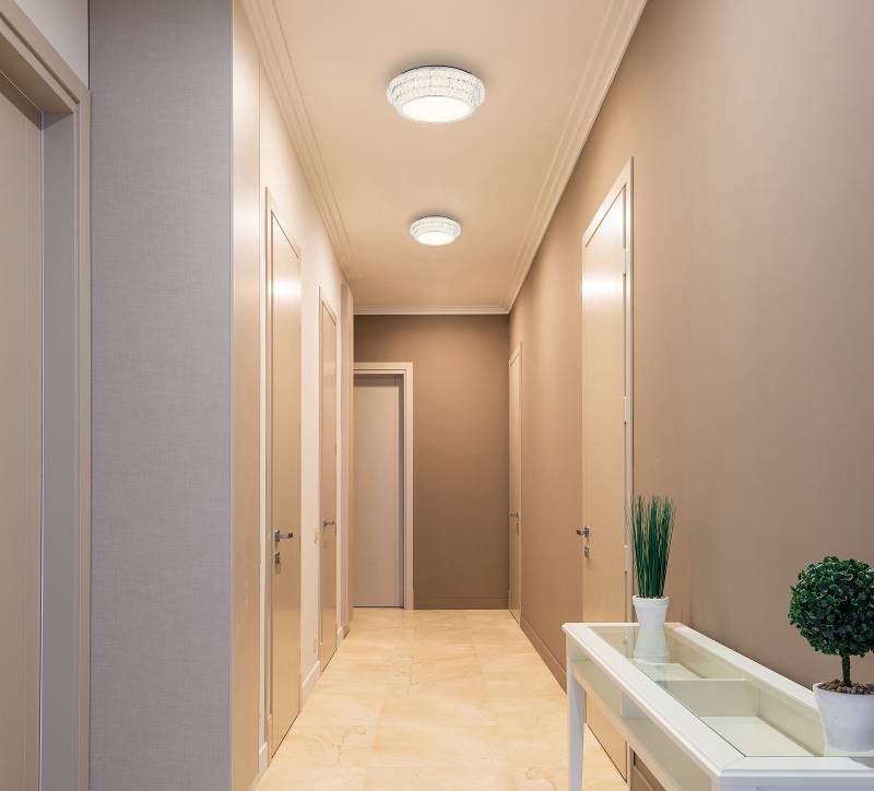 home24 LED-Deckenleuchte Klara Ø 60cm Silber/Durchsichtig Kunststoffart: Acrylglas Material: Metall, Kunststoff Metallart: Eisen Oberfläche Metall: von home24