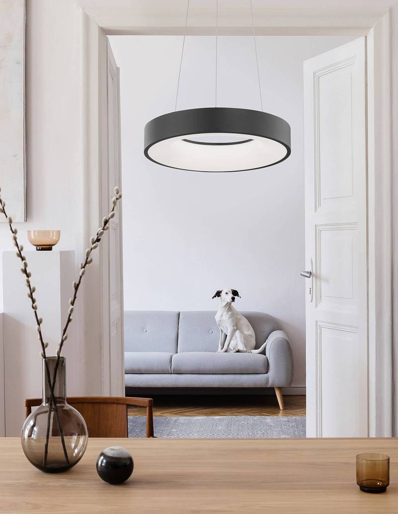 home24 Pendelleuchte Rando Thin Ø 38cm Schwarz/Schwarz Kabel ABS, Fassung ABS, Baldachin Aluminium, Gehäuse Leuchte Aluminium Nicht austauschbare LEDs von home24