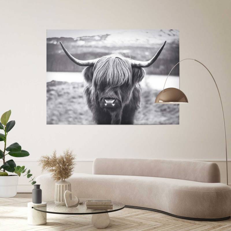 home24 Poster Giant XXL Hochländer Kuh Material: Papier Motiv: Animal Schwarz/Schwarz 100 x 140 x 0cm home24 Poster Giant XXL Hochländer Kuh Material: Papier Motiv: Animal Schwarz/Schwarz 100 x 140 x 0cm von home24