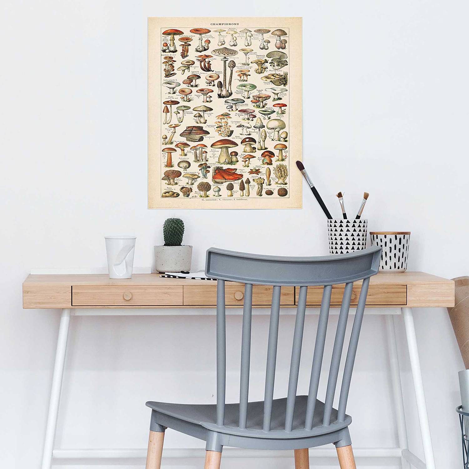 home24 Poster Mushrooms Papier Beige 40 x 50 x 0cm home24 Poster Mushrooms Papier Beige 40 x 50 x 0cm von home24