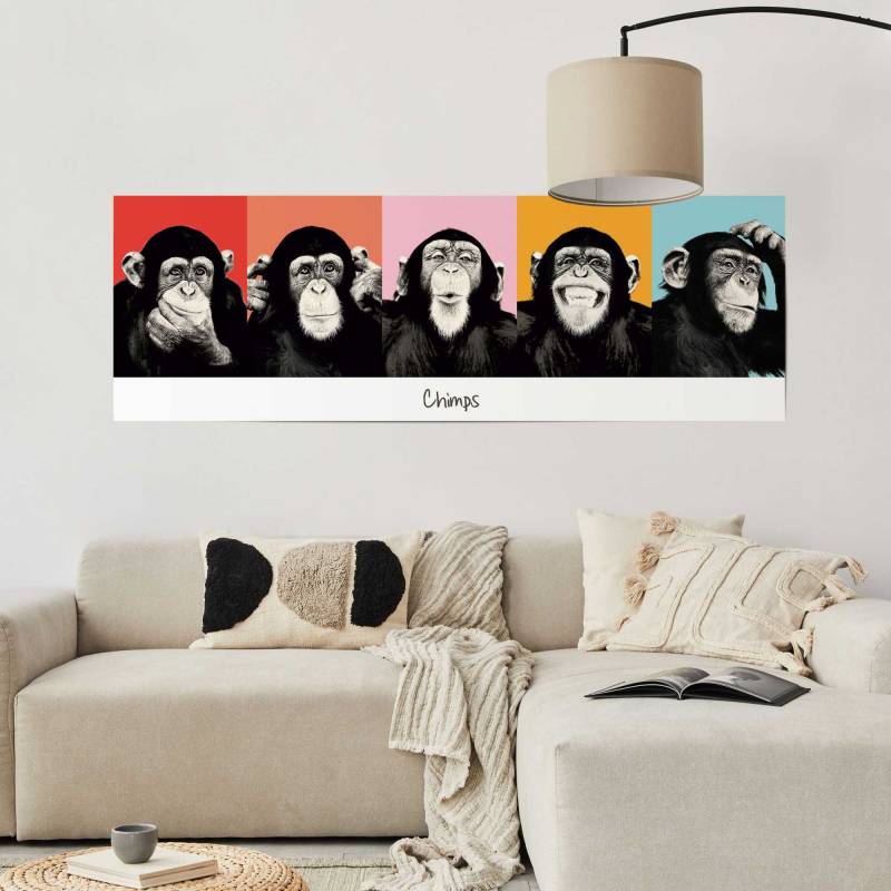 home24 Poster Schimpanse Material: Papier Motiv: Sprüche & Zitate Multicolor/Multicolor 53 x 158 x 0cm home24 Poster Schimpanse Material: Papier Motiv: Sprüche & Zitate Multicolor/Multicolor 53 x 158 x 0cm von home24
