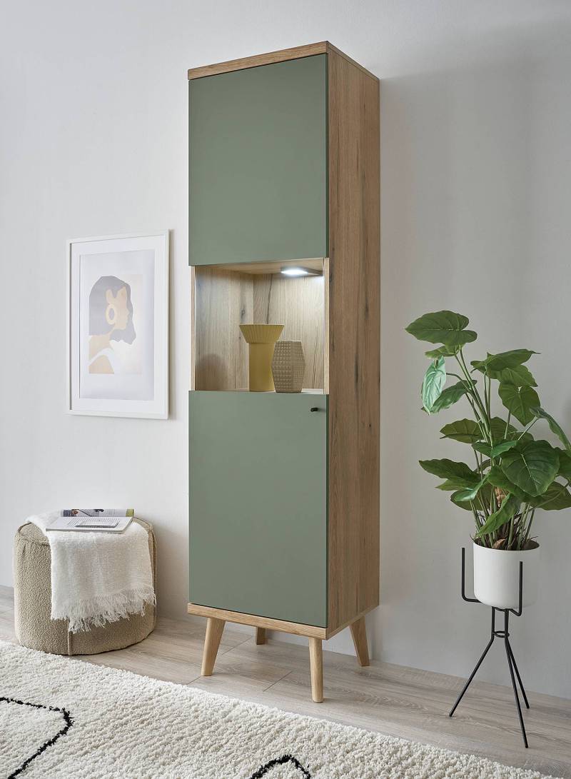 home24 Standvitrine Ammes 50 x 197 x 40cm Braun/Grün von home24