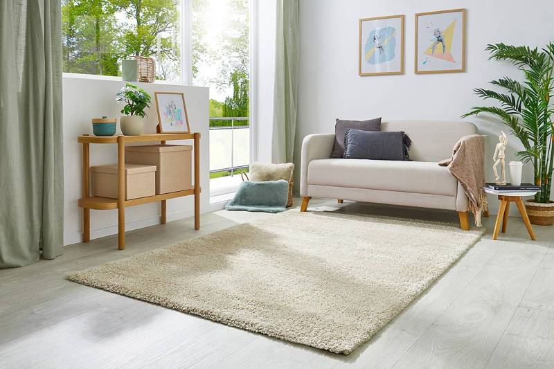 home24 Teppich Chia 80 x 150cm Beige/Beige von home24