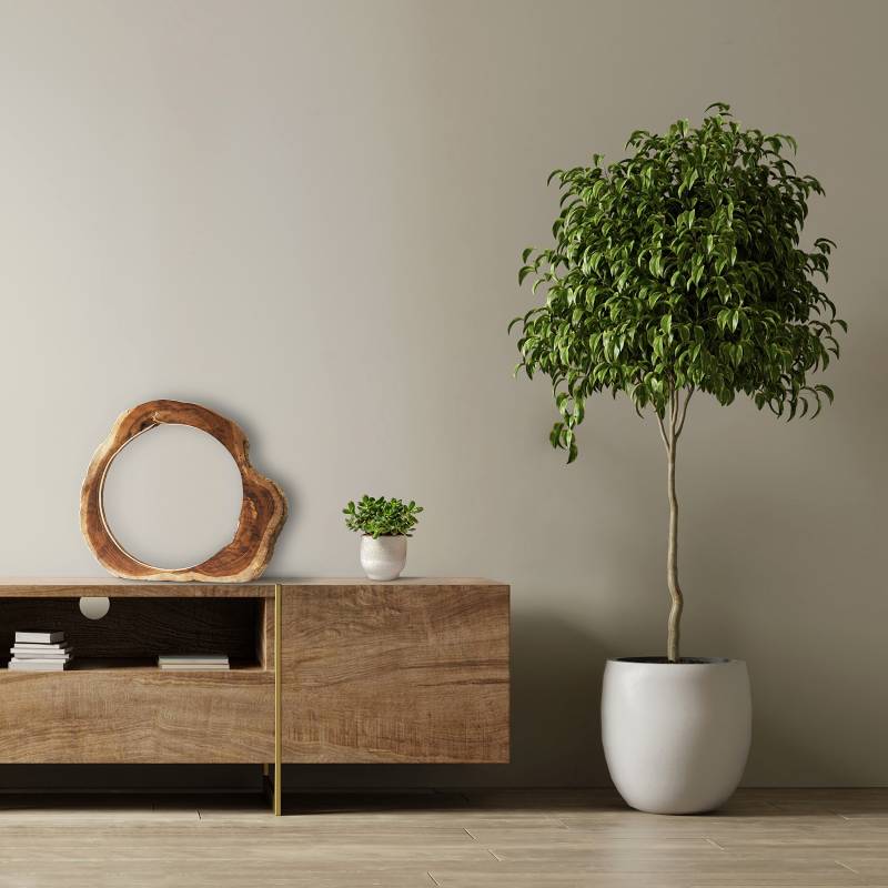 home24 Tischleuchte Raidalia 49 x 49 x 6cm Braun Material: Massivholz Oberfläche Holz: Naturbelassen Nicht austauschbare LEDs LED-Platine von home24