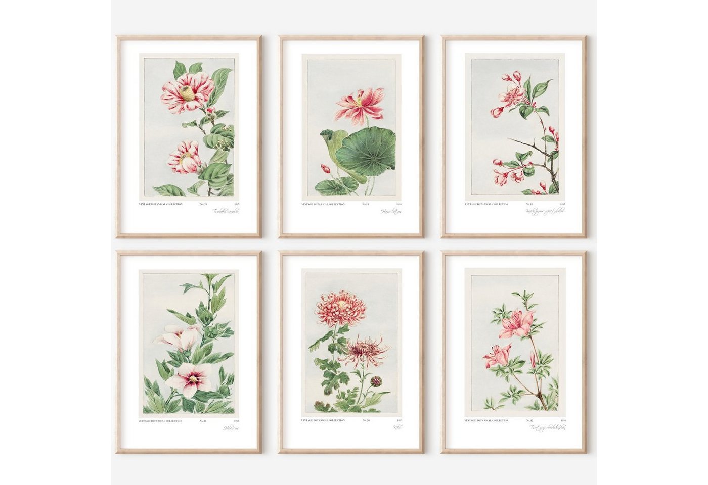 homestyle-accessoires Poster Bilder Wandbilder Kunstdrucke VINTAGE FLOWERS 6er Set Prints, Ohne Bilderrahmen von homestyle-accessoires