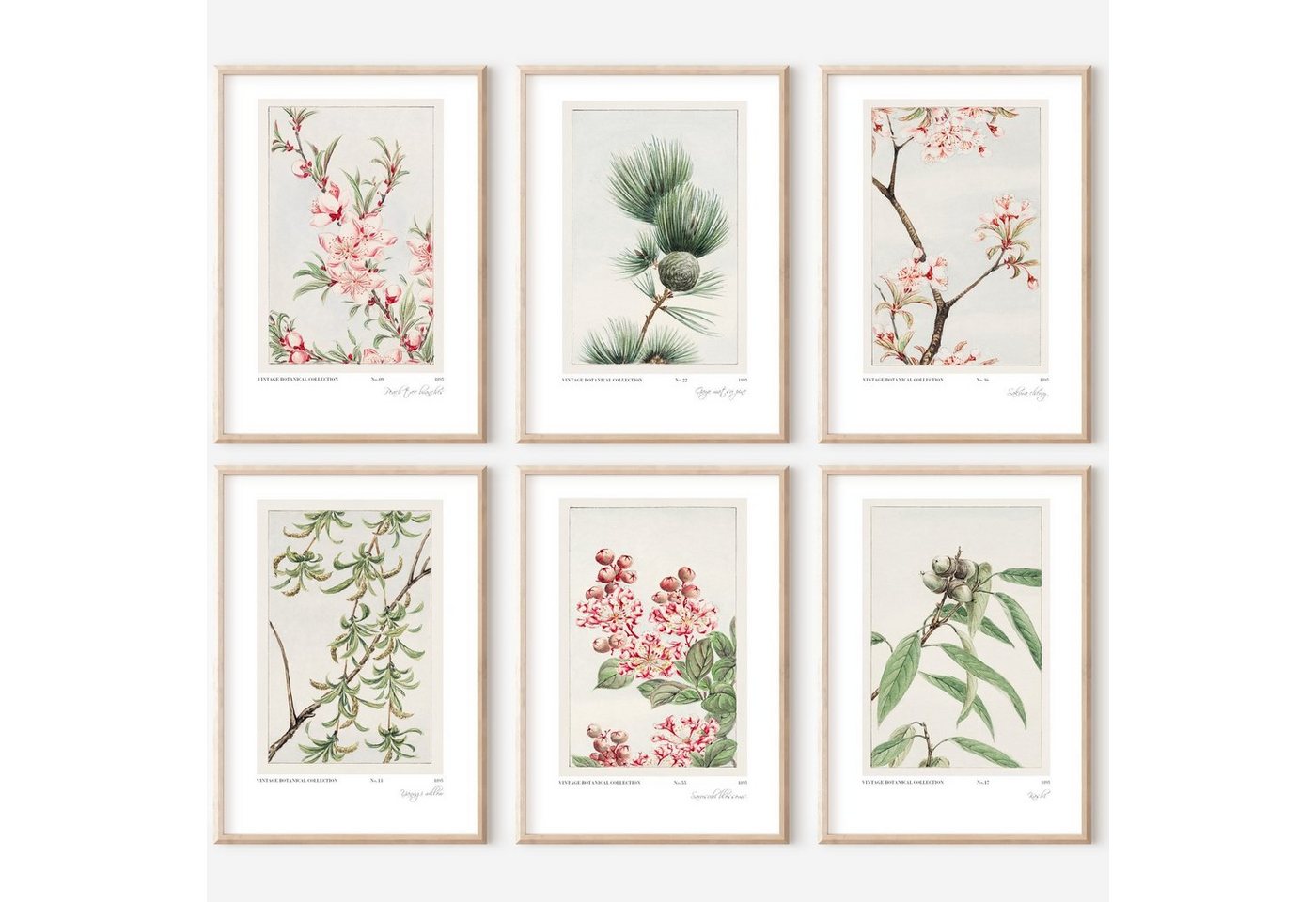 homestyle-accessoires Poster Bilder Wandbilder Kunstdrucke VINTAGE FLOWERS Prints 6er Set, Ohne Bilderrahmen von homestyle-accessoires