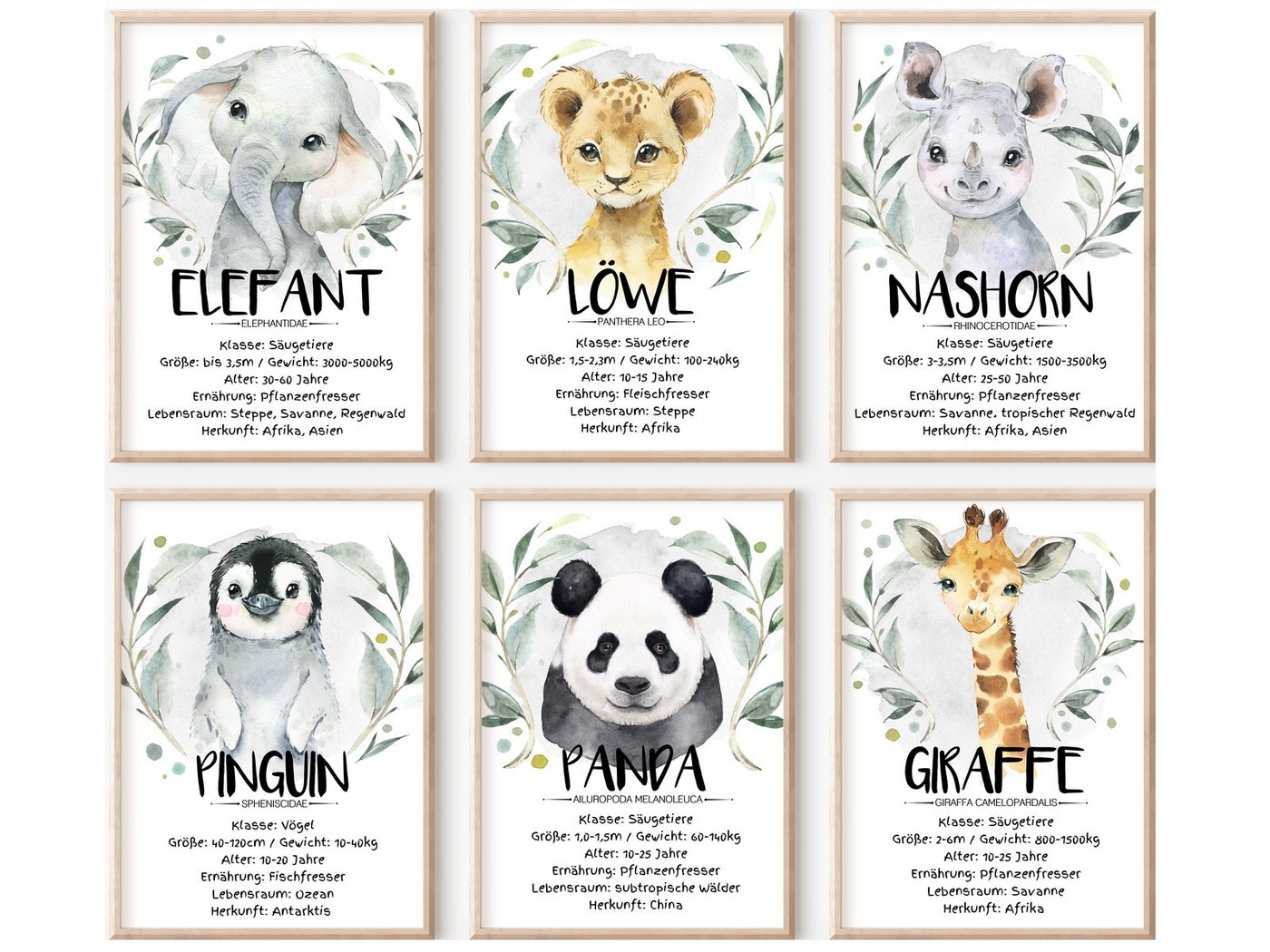 homestyle-accessoires Poster Kinderbilder Kinder Bilderset DSCHUNGELTIERE STECKBRIEF 6er SET, - OHNE BILDERRAHMEN - sorgfältige & sichere Verpackung homestyle-accessoires Poster Kinderbilder Kinder Bilderset DSCHUNGELTIERE STECKBRIEF 6er SET, - OHNE BILDERRAHMEN - sorgfältige & sichere Verpackung von homestyle-accessoires
