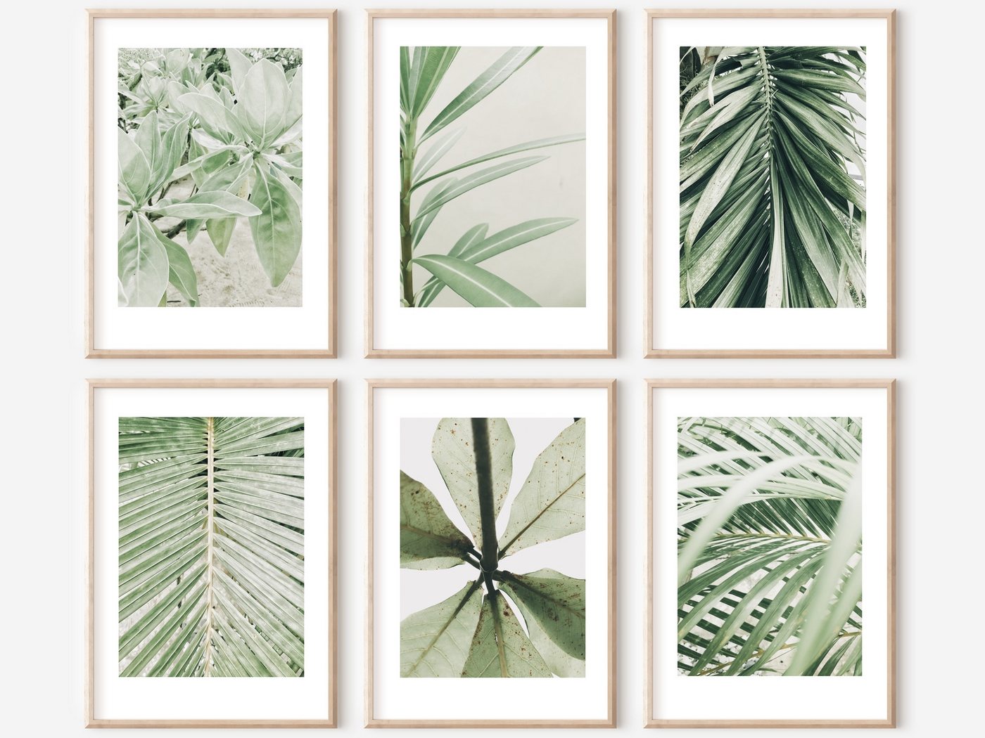 homestyle-accessoires Poster Bilderset Wandbilder Bilderwand PALMS LEAVES GREENS 6er, - Ohne Bilderrahmen - sorgfältige & sichere Verpackung homestyle-accessoires Poster Bilderset Wandbilder Bilderwand PALMS LEAVES GREENS 6er, - Ohne Bilderrahmen - sorgfältige & sichere Verpackung von homestyle-accessoires