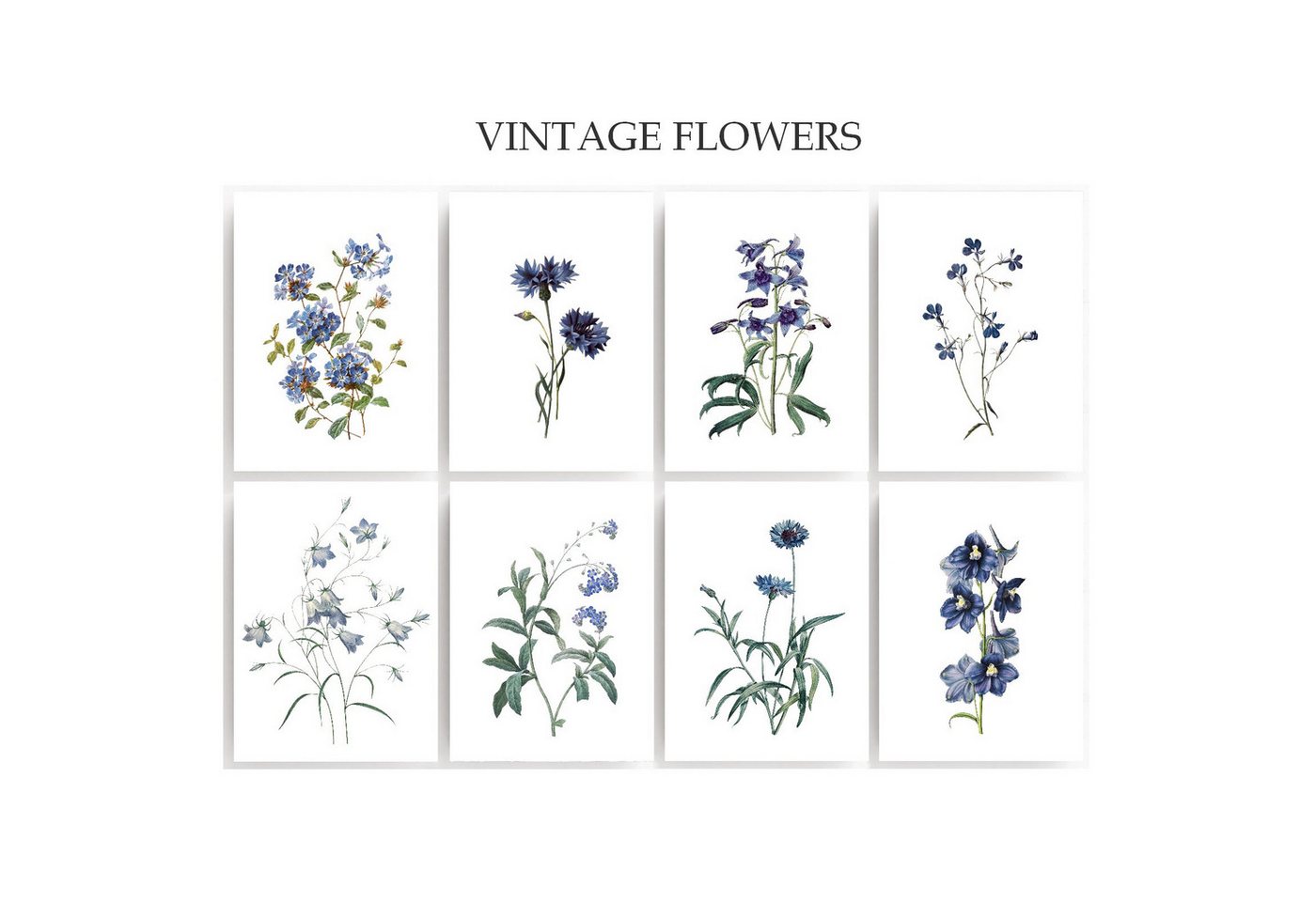 homestyle-accessoires Poster Wandbilder Bilderset Poster VINTAGE FLOWERS BLEU 8er Set, Ohne Bilderrahmen von homestyle-accessoires