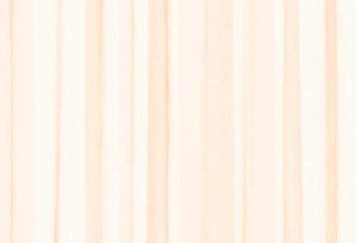 homestyle4you Gardinen Organza mit Ösen Voile transparent leicht 140x245 Dekoschal Deko (Creme) von homestyle4you