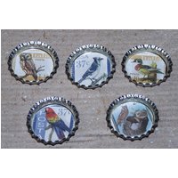 Vogelstempel Dekorative Flaschenkappe Daumenknöpschen von honeylaura