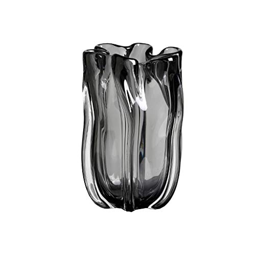 hongbanlemp Vasen Schwarzer transparenter Glasvase Wohnzimmer Home Couchtisch Schlafzimmer Studie Dekoration Vase Blume Vase 6.4/11,4 Zoll hoch Tischvase (Size : Large) von hongbanlemp