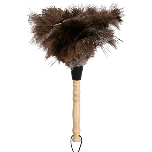 Staubwedel Straußenfedern, Ostrich Feather Duster mit Holzgriff Antistatisch Natur Straußenfedern Staubwischer, Straußenfeder Staubwedel für Zimmer, Wohnzimmer, Bücherrega, 12.6" (32cm) von hongmo