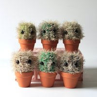Gehäkelter Kaktus Im Terrakotta Blumentopf, Perfekte Pflanzengeschenkidee Für Zimmerpflanzenliebhaber von hookedandhung