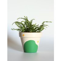 Handbemalter Terrakotta Blumentopf Mit Drainage Anpassbare Farben Und Größe Optionalem Untersetzer von hookedandhung