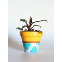 Handbemalter Terrakotta Blumentopf Mit Drainage Anpassbare Farben Und Größe Optionalem Untersetzer von hookedandhung