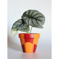 Handbemalter Terrakotta Blumentopf Mit Drainage Anpassbare Farben Und Größe Optionalem Untersetzer von hookedandhung