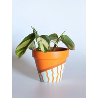 Handbemalter Terrakotta Blumentopf Mit Drainage Anpassbare Farben Und Größen Optionalen Untersetzern von hookedandhung