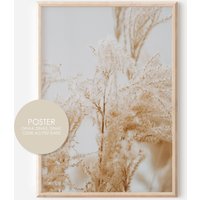 Poster Pampasgras A Boho Blumen A4 Download A3 Wandbild Trockenblumen Zimmerdeko von hopebloomshineposter