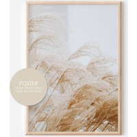 Poster Pampasgras C Boho Blumen A4 Download A3 Wandbild Trockenblumen Zimmerdeko von hopebloomshineposter
