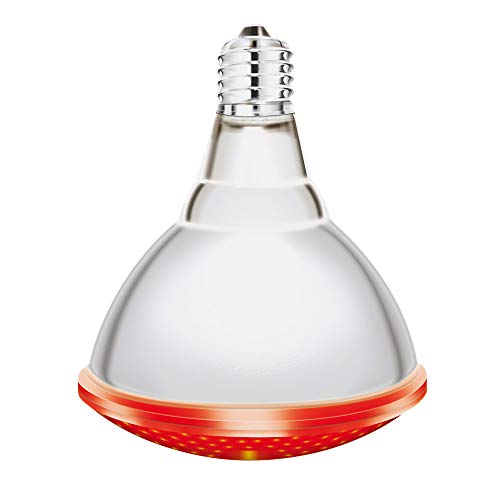 interHeat Infrarotlampe 250W rot, 2er Pack von horizont