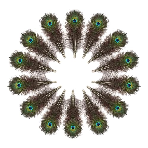 hpnparty 15pc Natur Federn Pfauenfedern Echt Federn Deko 25-32 cm Lange Federn Pfau Deko Pfauenfedern Deko für Hochzeit, Party, Kostüm, Dekoration, Federn zum Basteln, DIY hpnparty 15pc Natur Federn Pfauenfedern Echt Federn Deko 25-32 cm Lange Federn Pfau Deko Pfauenfedern Deko für Hochzeit, Party, Kostüm, Dekoration, Federn zum Basteln, DIY von hpnparty