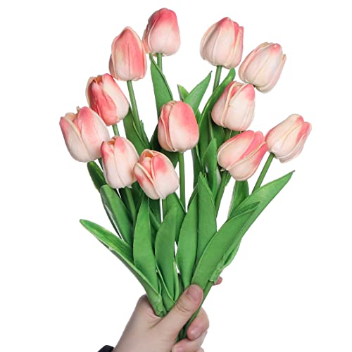 huaao 12pcs Künstliche Tulpen Real Touch Latex Gefälschte Tulpen Blumen Blumensträuße Arrangement für Hochzeitsstrauß Party Herzstück Dekor, Champagne von huaao