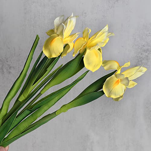 huaao 3 Stück Künstliche Iris Blumen, Langer Stiele Gefälschte Kunstblumen Iris Deko für DIY Blumenarrangements Hochzeitsstrauß Foto Requisiten Dekoration Zuhause Party Tischdekoration, Gelb von huaao