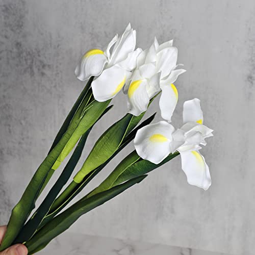 huaao 3 Stück Künstliche Iris Blumen, Langer Stiele Gefälschte Kunstblumen Iris Deko für DIY Blumenarrangements Hochzeitsstrauß Foto Requisiten Dekoration Zuhause Party Tischdekoration, Weiß von huaao