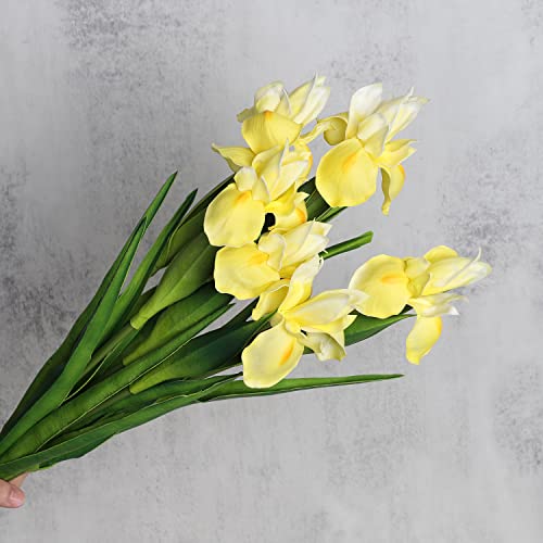 huaao 6 Stück Künstliche Iris Blumen, Langer Stiele Gefälschte Kunstblumen Iris Deko für DIY Blumenarrangements Hochzeitsstrauß Foto Requisiten Dekoration Zuhause Party Tischdekoration, Gelb von huaao