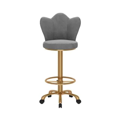 huanglyc-232 Bar Kassierer Insel Tisch Esszimmerstuhl Rezeption Sitzen Rückenlehne Hoher Hocker Licht Luxus Einfache Metall Stuhl Heimgebrauch(Grigio) von huanglyc-232