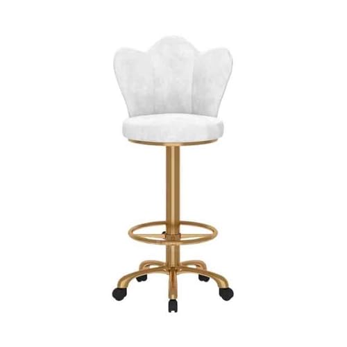 huanglyc-232 Bar Kassierer Insel Tisch Esszimmerstuhl Rezeption Sitzen Rückenlehne Hoher Hocker Licht Luxus Einfache Metall Stuhl Heimgebrauch(Weiß) von huanglyc-232