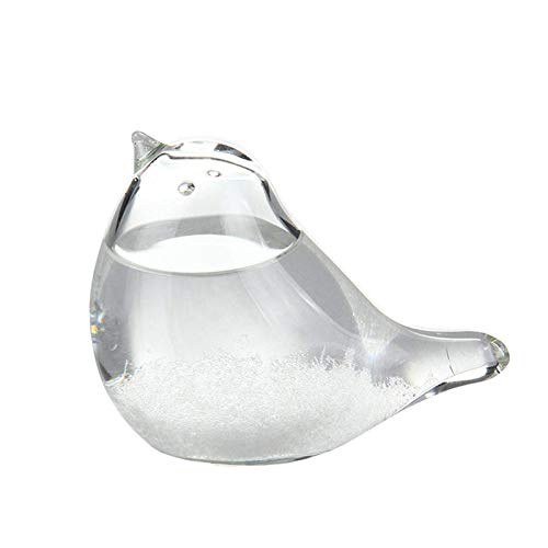 huiba Wettervorhersage für den Schreibtisch, Storm Glass Vogelvorhersage, Wettervorhersage Globe Storm Glass Cloud Forecaster für das Büro zu Hause von huiba