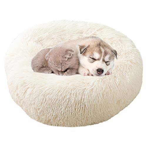 huihuijia Hundesofa Hundebetten KatzenköRbchen Katzenbett Flauschig Hundebett Flauschig Hundematte Grosse Hunde for Chats Petits Chiens De Taille Moyenne beige,40cm/15.75in von huihuijia