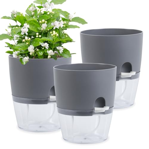Hurifeng Selbstbewässerung Blumentopf 3er Set - Transparenter Pflanzkübel mit Wasserspeicher & Wasserstandsanzeiger - Automatisches Bewässerungssystem für Kräuter & Zimmerpflanzen auf Balkon, Fensterb Hurifeng Selbstbewässerung Blumentopf 3er Set - Transparenter Pflanzkübel mit Wasserspeicher & Wasserstandsanzeiger - Automatisches Bewässerungssystem für Kräuter & Zimmerpflanzen auf Balkon, Fensterb von hurifeng