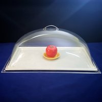 Cambro 22-Zoll-Serviertablett 83-1 Mit Durchsichtigem Deckel, Vintage Cambro 22-Zoll-Serviertablett 83-1 Mit Durchsichtigem Deckel, Vintage von hwoo1