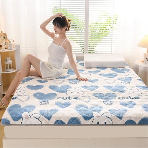 hxoity Tatami Schlafmatte Japanischer Futon -Bodenbelag Single Double Futon Matratze 4 Jahreszeiten Atmungsaktive Matratze Bodenbettkissen Für Wohnheim -Familienzimmer von hxoity