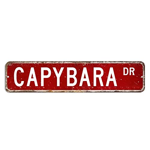 Capybara Straßenschild, Tierdrucke, Metallschild, 10,2 x 45,7 cm, wetterfest, Aluminiumschild, Landhaus-Metallkunstschild für Bar, Café, Restaurant, Männerhöhle Capybara Straßenschild, Tierdrucke, Metallschild, 10,2 x 45,7 cm, wetterfest, Aluminiumschild, Landhaus-Metallkunstschild für Bar, Café, Restaurant, Männerhöhle von hyxxiqin0e