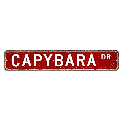 Capybara Straßenschild Hundeknochen Metallschild 7,6 x 45,7 cm Custom Winddicht Metall Blechschild Retro Poster Plakette für Schlafzimmer Café Bar Club Pub Garage von hyxxiqin0e