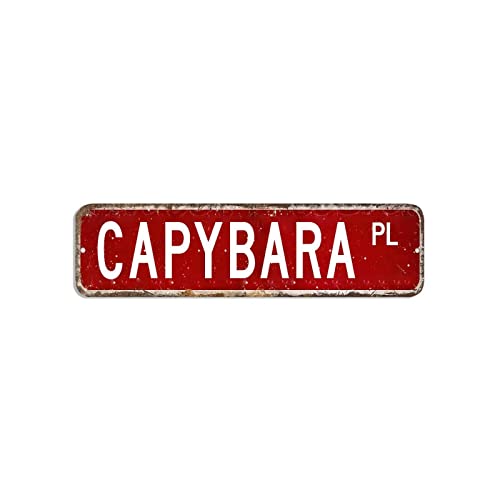 Capybara Straßenschild Tierliebhaber-Blechschild, 7,6 x 30,5 cm, individuelles rostfreies Metall-Blechschild, rustikales Wandposter, Dekoration für Zuhause und Küche, Bar, Café, Garage Capybara Straßenschild Tierliebhaber-Blechschild, 7,6 x 30,5 cm, individuelles rostfreies Metall-Blechschild, rustikales Wandposter, Dekoration für Zuhause und Küche, Bar, Café, Garage von hyxxiqin0e
