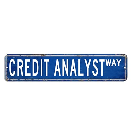 Credit Analyst Straßenschild Kredit-Analysten-Liebhaber, Geschenk, Beruf, Blechschild, 10,2 x 45,7 cm, personalisiertes, langlebiges Metall-Blechschild, schickes Wandschild, Poster für Bar von hyxxiqin0e