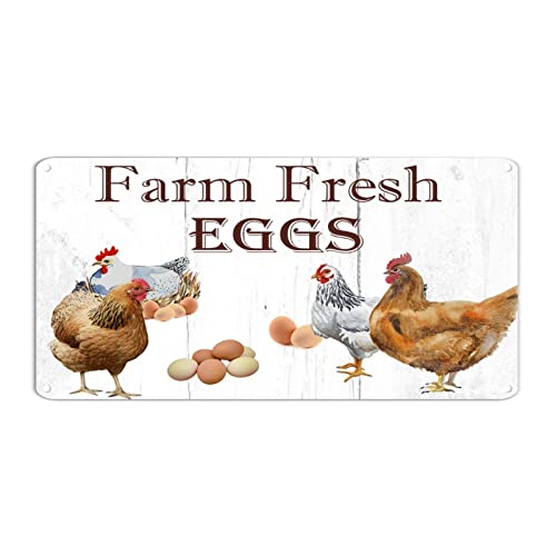 Metallschild mit Aufschrift "Farm Fresh Eggs", Vintage, Henne aus Metall, französischer Hahn, 15,2 x 30,5 cm, wetterfest, rostfrei, Wandposter, Dekoration für Landhaus, Küche, Restaurant Metallschild mit Aufschrift "Farm Fresh Eggs", Vintage, Henne aus Metall, französischer Hahn, 15,2 x 30,5 cm, wetterfest, rostfrei, Wandposter, Dekoration für Landhaus, Küche, Restaurant von hyxxiqin0e