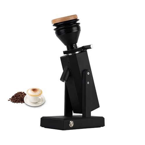 Elektrische Kaffeemühle - Elegante Samll Kaffeemühle Maschine - 40MM Titanium Grat Metall - 75g Bohnen Trichter - 19 Gänge von iBLENDAR